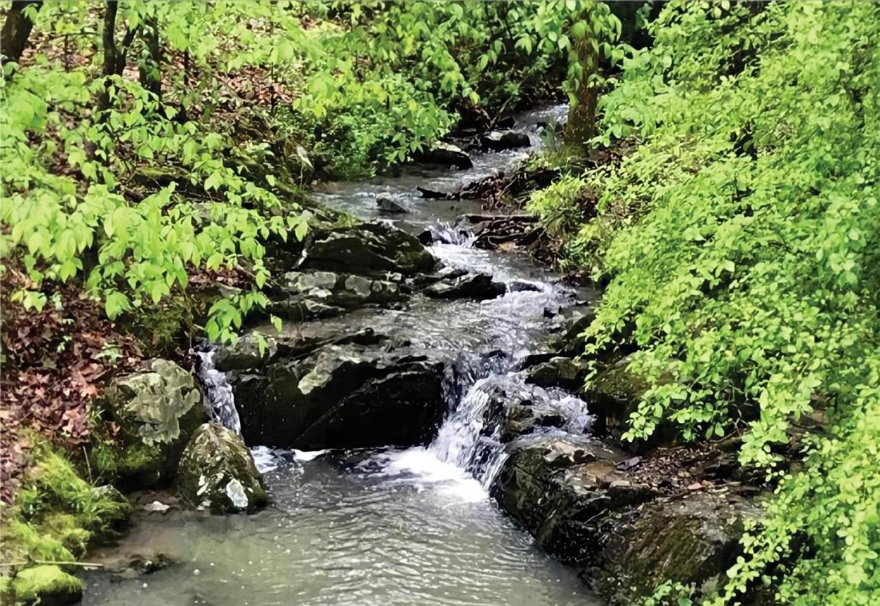 Secluded Home With Mini Waterfall And A Creek In Χοτ Σπρινγκς Εξωτερικό φωτογραφία
